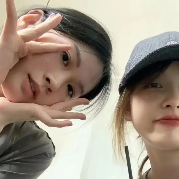 科搜研之女第24季